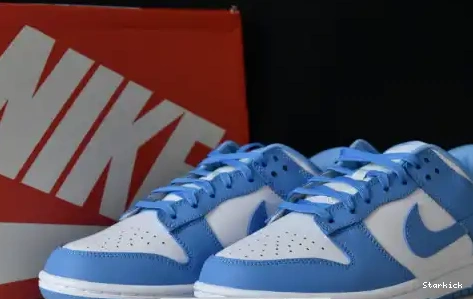 DD1391-102 Nike Blue Low University Dunk 0705